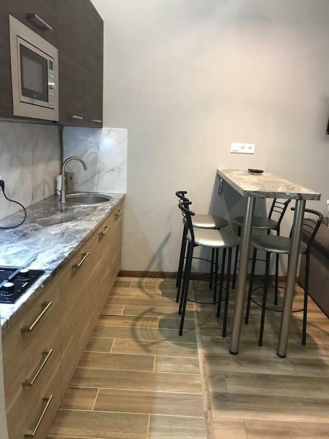 New Appartment-Studio Іn The Center Of Lviv Eksteriør bilde